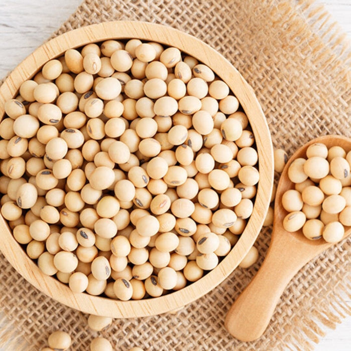 Hokkaido Dry Raw Daizu Soy Beans 200g Pack Honeydaes - Japan Foods Grocery Online 