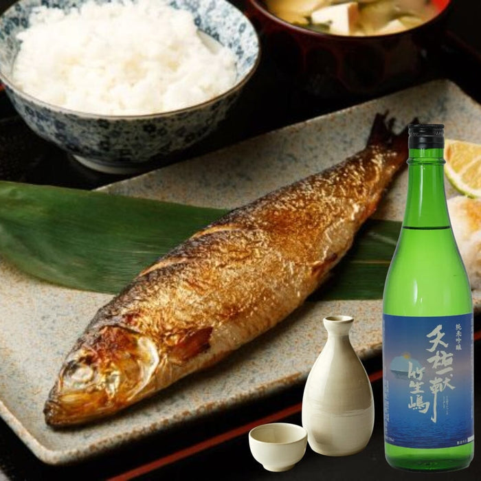 Tenyu Ikkon Junmai Ginjo Sake 720ml bottle Honeydaes - Japan Foods Grocery Online 