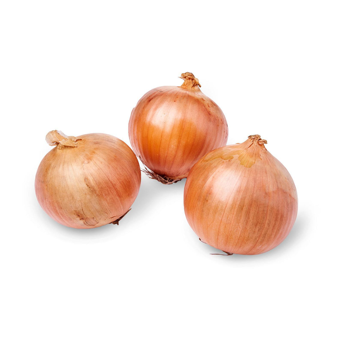 北海道 玉ねぎ Hokkaido Tamanegi Japan Fresh Onion 3 Pcs