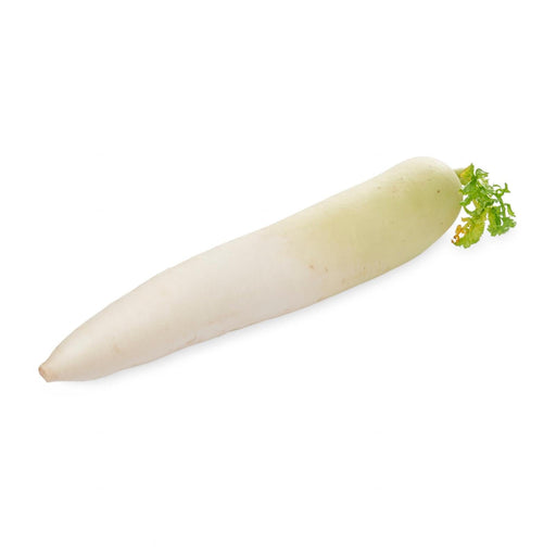 Fresh And Delicious Japanese Daikon White Radish (Air Flown Directly From Japan) 1pc Pack Honeydaes - Japan Foods Grocery Online 