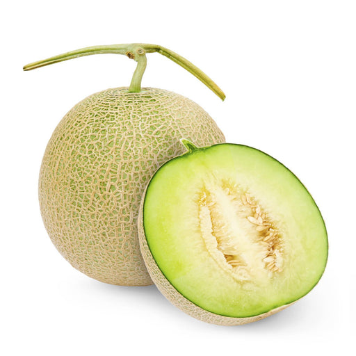 Japan Premium Fruits - Hokkaido Musk Melon (Green) 1 Per Pack Honeydaes - Japan Foods Grocery Online 