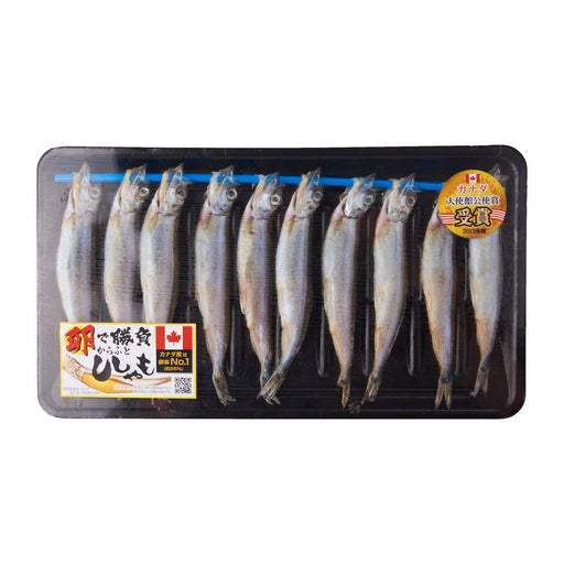 Komochi Shishamo BIGGER 4L 10 Pieces Premium Capelin Fish With Roe japanmart.sg 