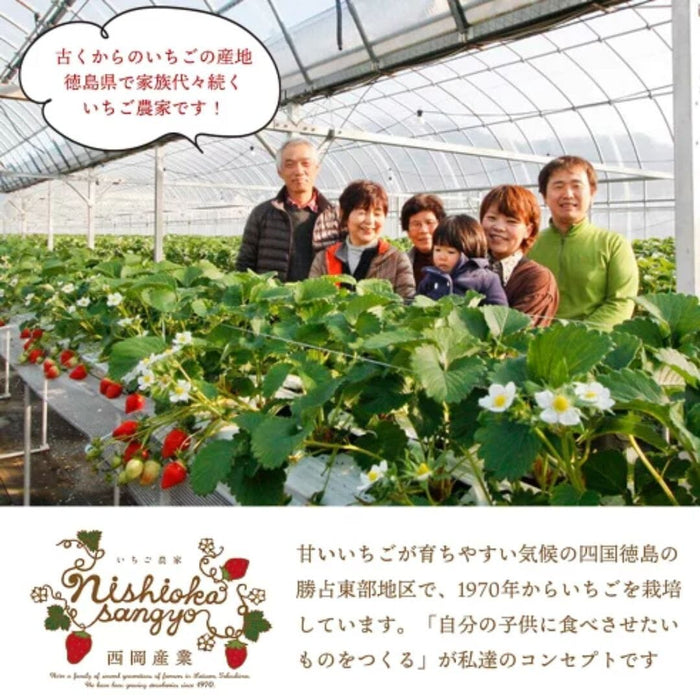 Tokushima Premium Japan Frozen Strawberries Everyday Delicious! (6 Easy Portioned Packs) Honeydaes - Japan Foods Grocery Online 