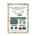 鮮度保持エッグ1個入 ANDO GREEN - Sendo Hoji "Freshness Keep!" Fridge Egg Piece (Pack x 1 PC) - Green Honeydaes - Japan Foods Grocery Online 
